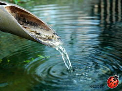 eau bamboo ecobati